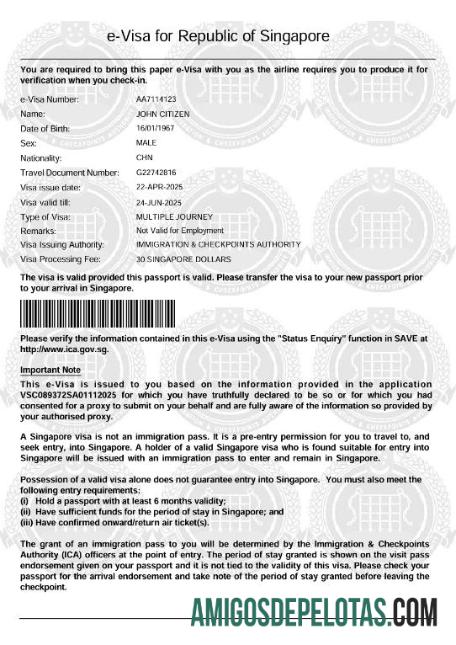 em branco Modelo de visto E de Cingapura em formatos Word e PDF